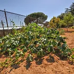 Dom wakacyjny House Calafato E Testasecca